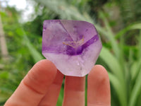 Polished Window Amethyst Crystals x 12 From Akansobe, Madagascar