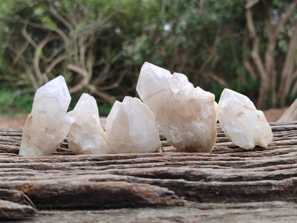 Natural Cascading Candle Quartz Crystals x 35 From Antsirabe, Madagascar - Toprock Gemstones and Minerals 
