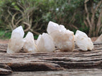 Natural Cascading Candle Quartz Crystals x 35 From Antsirabe, Madagascar - Toprock Gemstones and Minerals 