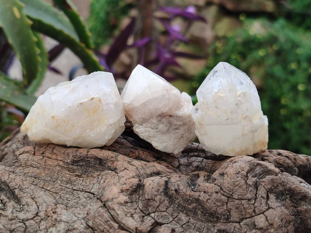 Natural Cascading Candle Quartz Crystals x 35 From Antsirabe, Madagascar - Toprock Gemstones and Minerals 