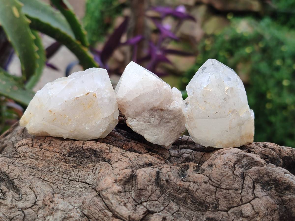 Natural Cascading Candle Quartz Crystals x 35 From Antsirabe, Madagascar