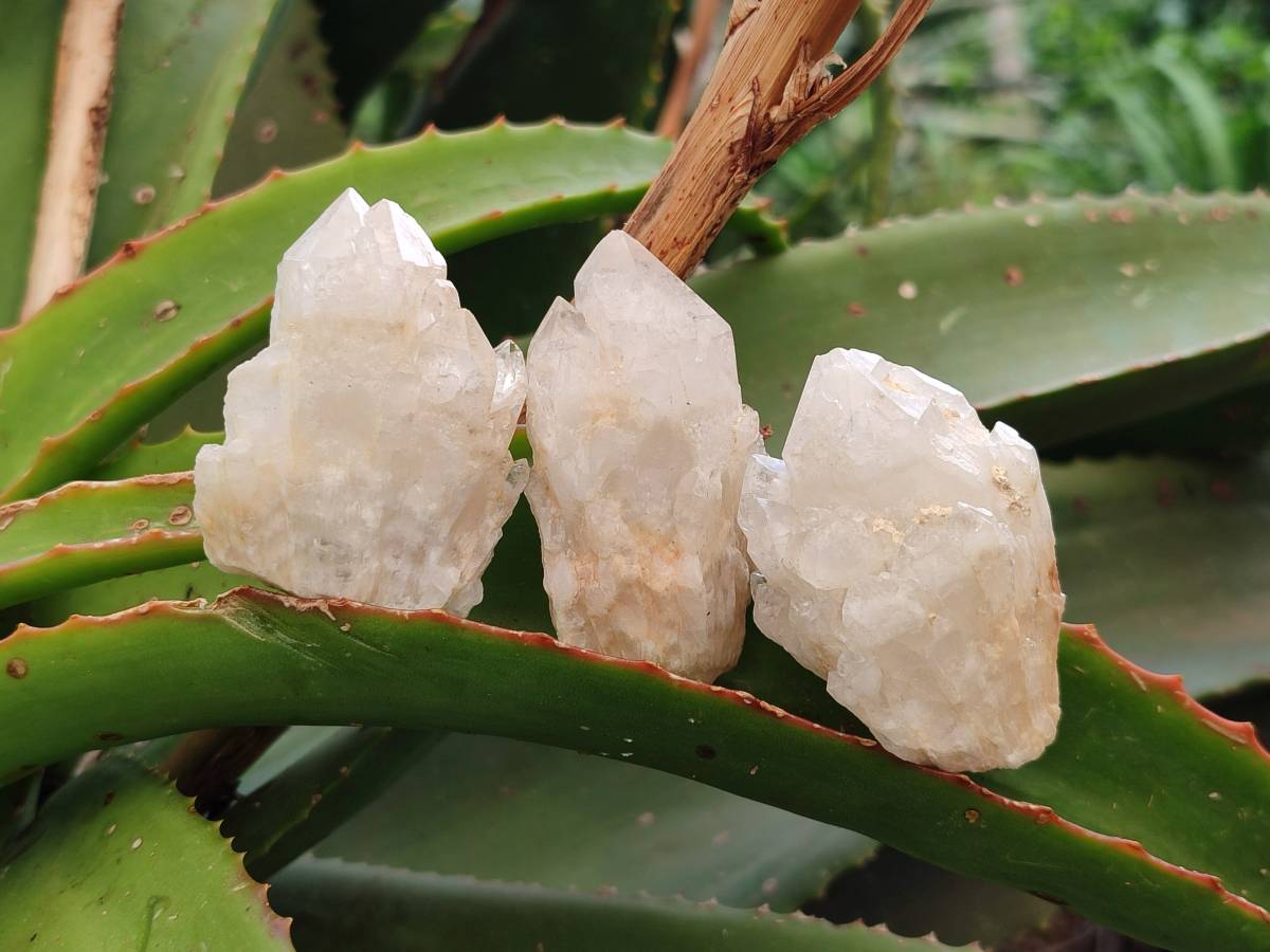 Natural Cascading Candle Quartz Crystals x 35 From Antsirabe, Madagascar