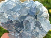 Natural Blue Celestite Specimens x 6 From Sakoany, Madagascar