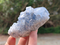 Natural Blue Celestite Specimens x 6 From Sakoany, Madagascar