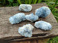 Natural Blue Celestite Specimens x 6 From Sakoany, Madagascar