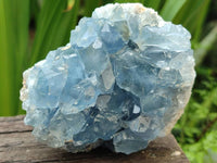 Natural Blue Celestite Specimens x 6 From Sakoany, Madagascar