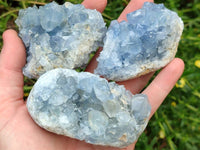 Natural Blue Celestite Specimens x 6 From Sakoany, Madagascar