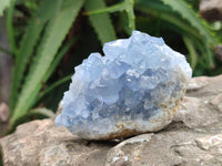 Natural Blue Celestite Specimens x 6 From Sakoany, Madagascar