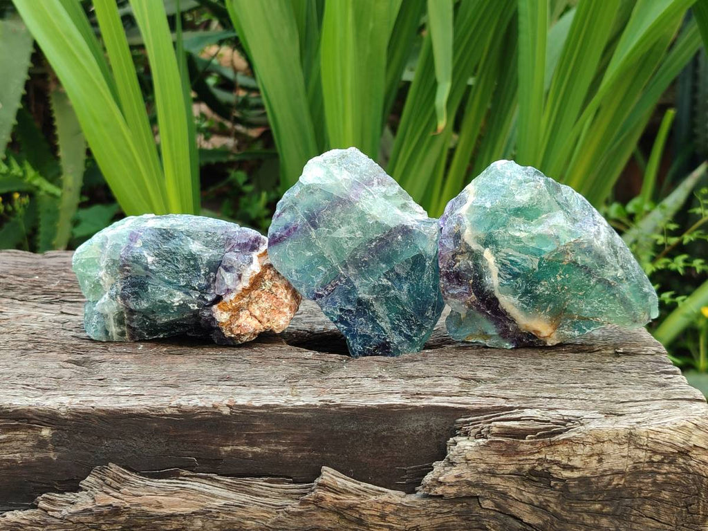 Natural Watermelon Fluorite Cobbed Specimens x 24 From Uis, Namibia