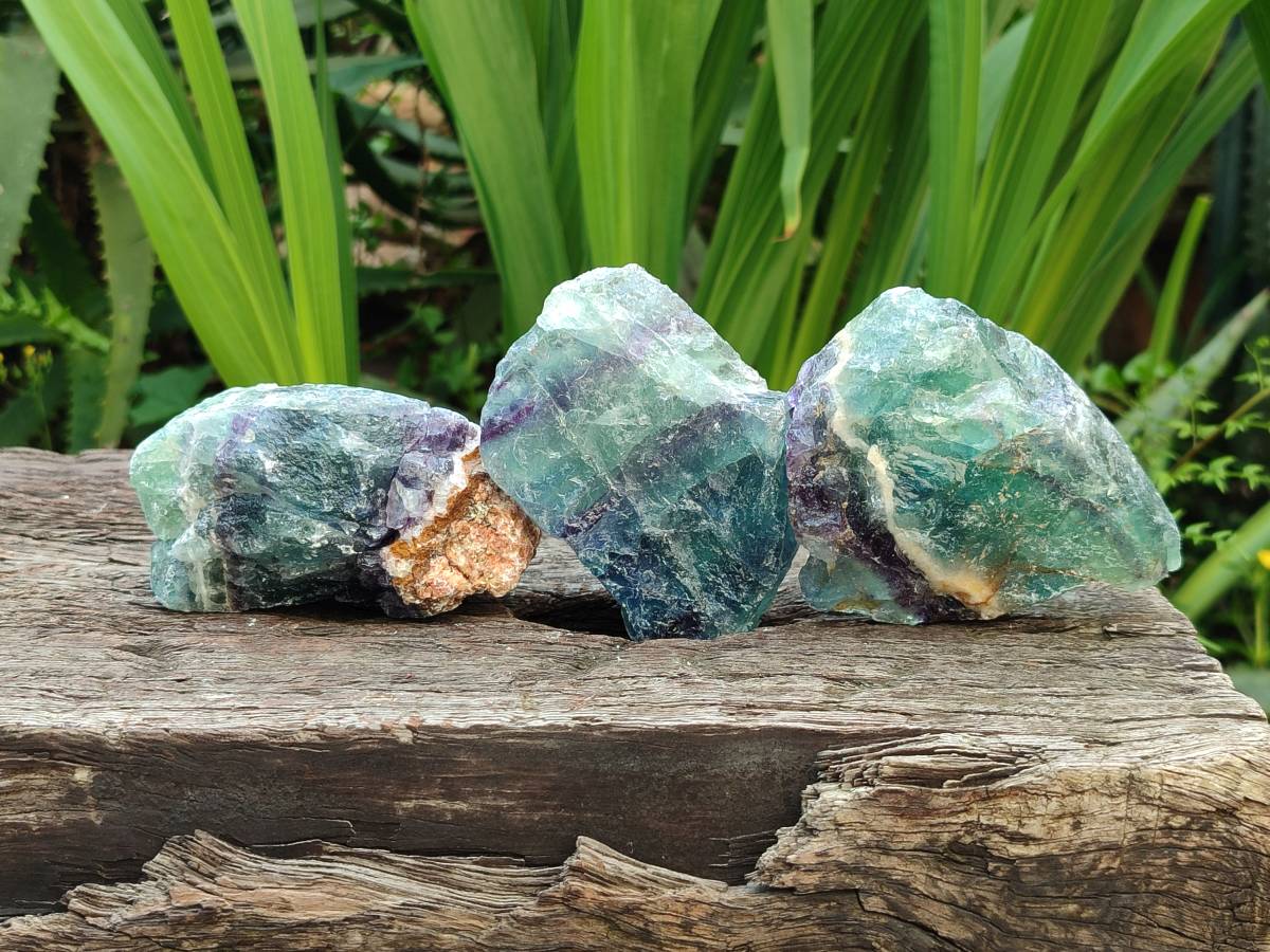 Natural Watermelon Fluorite Cobbed Specimens x 24 From Uis, Namibia