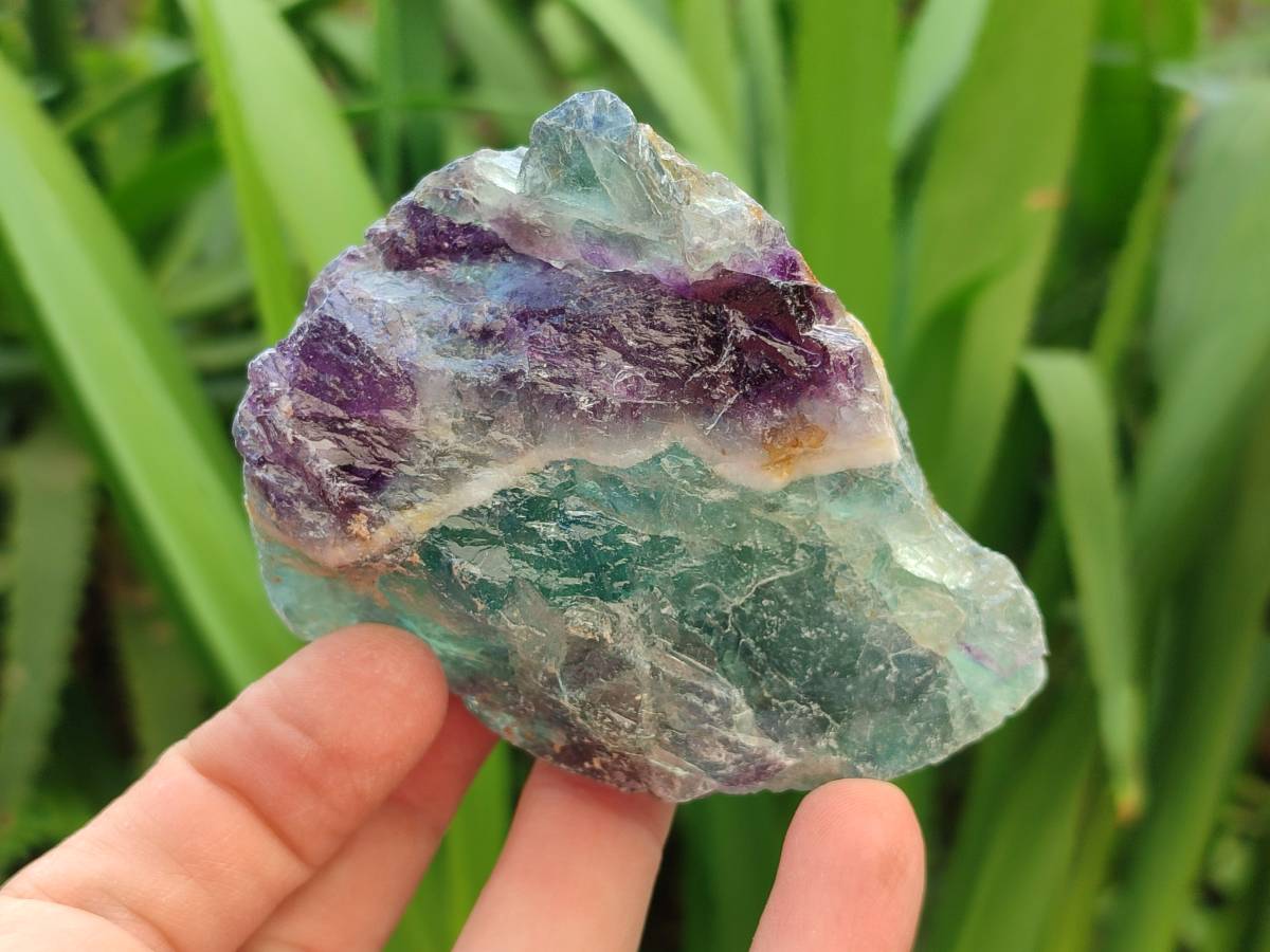 Natural Watermelon Fluorite Cobbed Specimens x 24 From Uis, Namibia