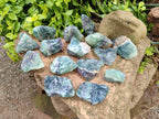Natural Watermelon Fluorite Cobbed Specimens x 24 From Uis, Namibia