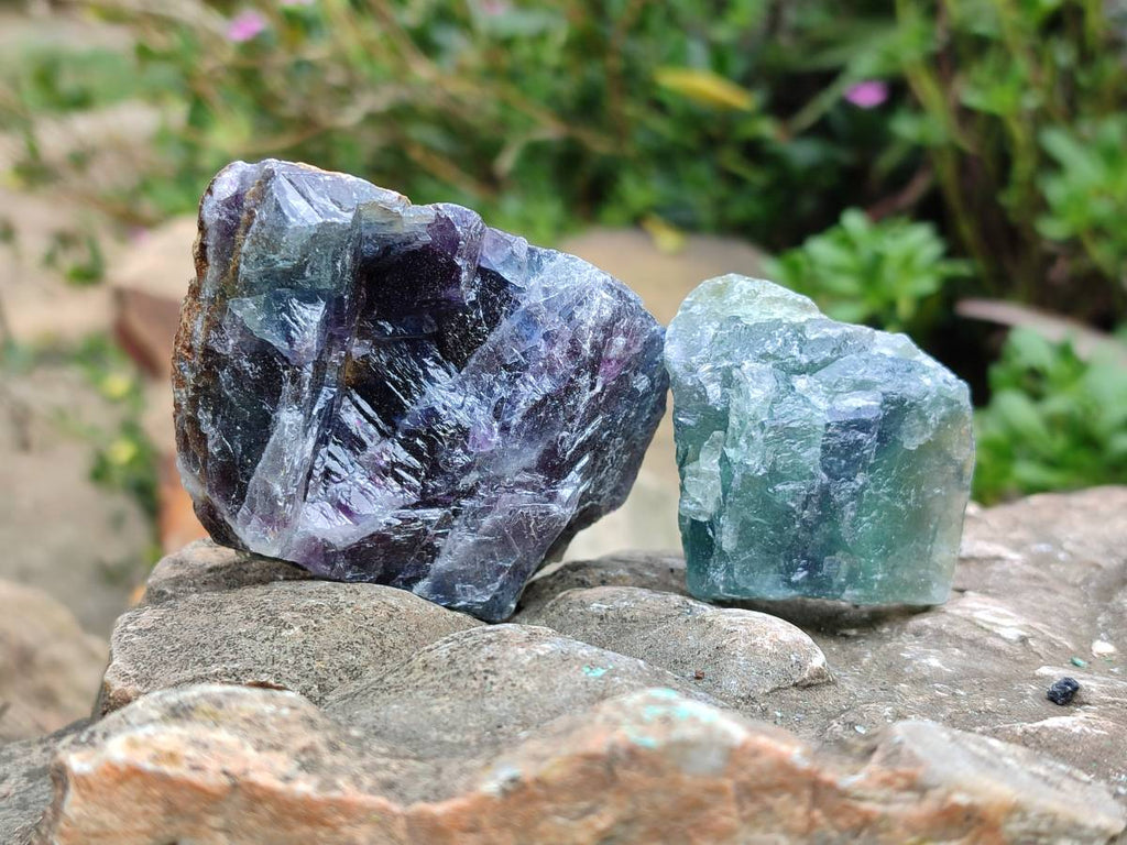 Natural Watermelon Fluorite Cobbed Specimens x 24 From Uis, Namibia