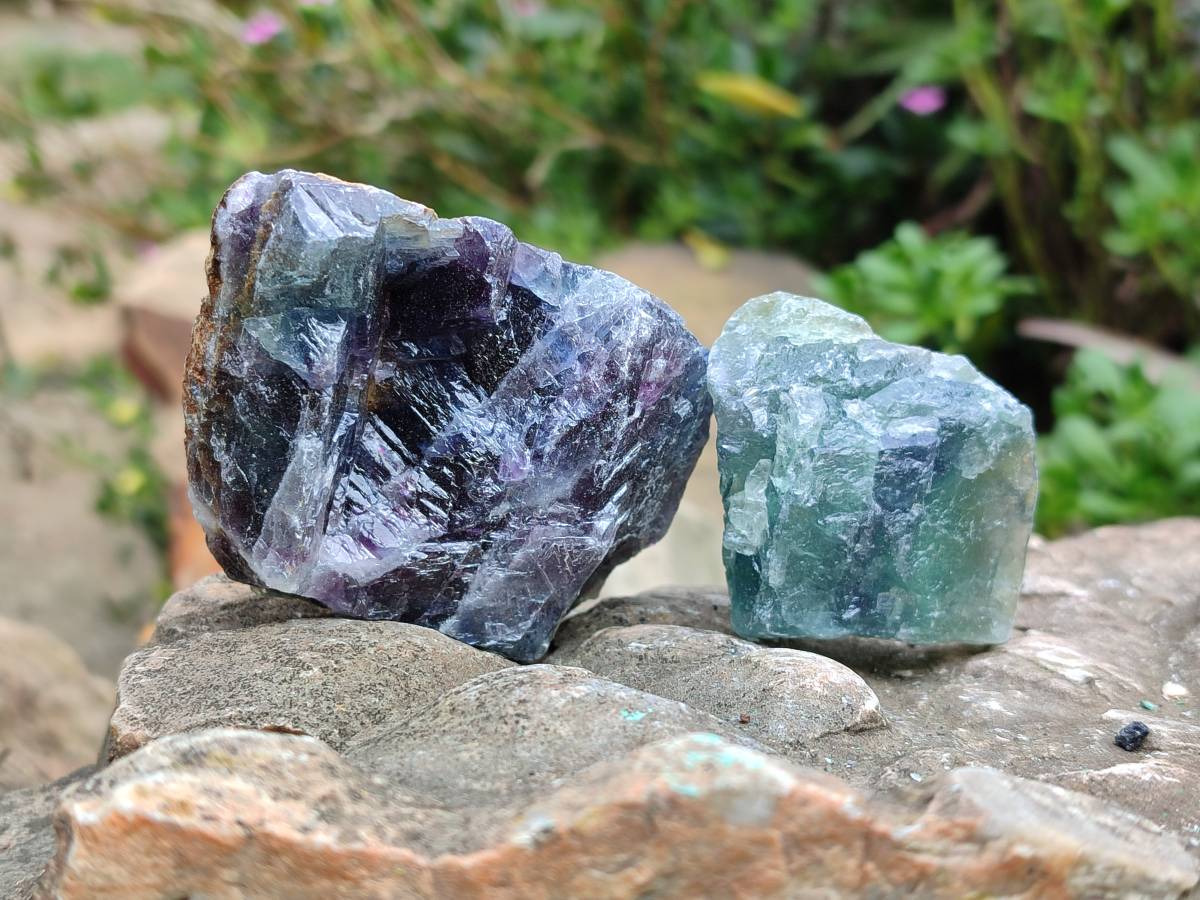 Natural Watermelon Fluorite Cobbed Specimens x 24 From Uis, Namibia