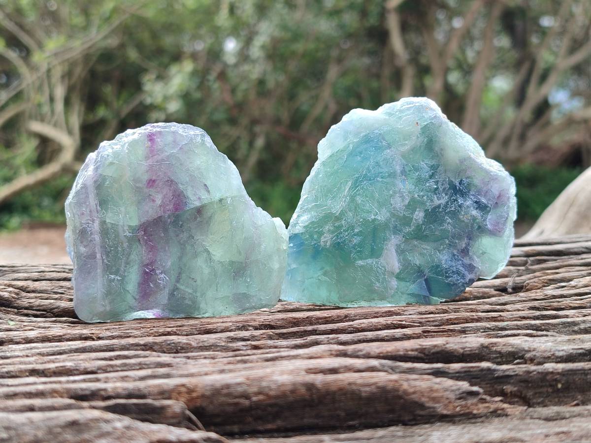 Natural Watermelon Fluorite Cobbed Specimens x 24 From Uis, Namibia