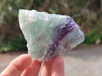 Natural Watermelon Fluorite Cobbed Specimens x 24 From Uis, Namibia