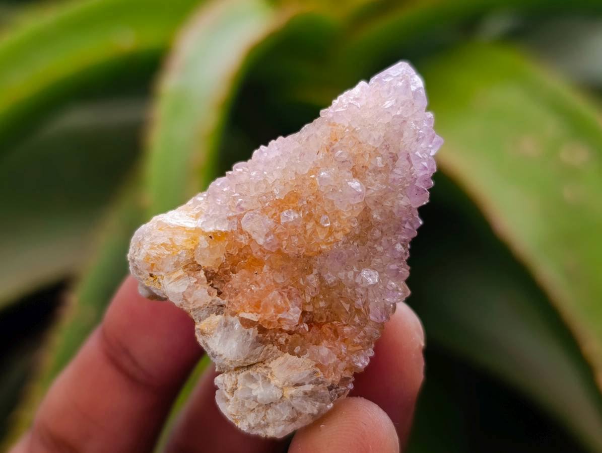 Natural Amethyst Spirit Quartz x 35 From Boekenhouthoek, South Africa