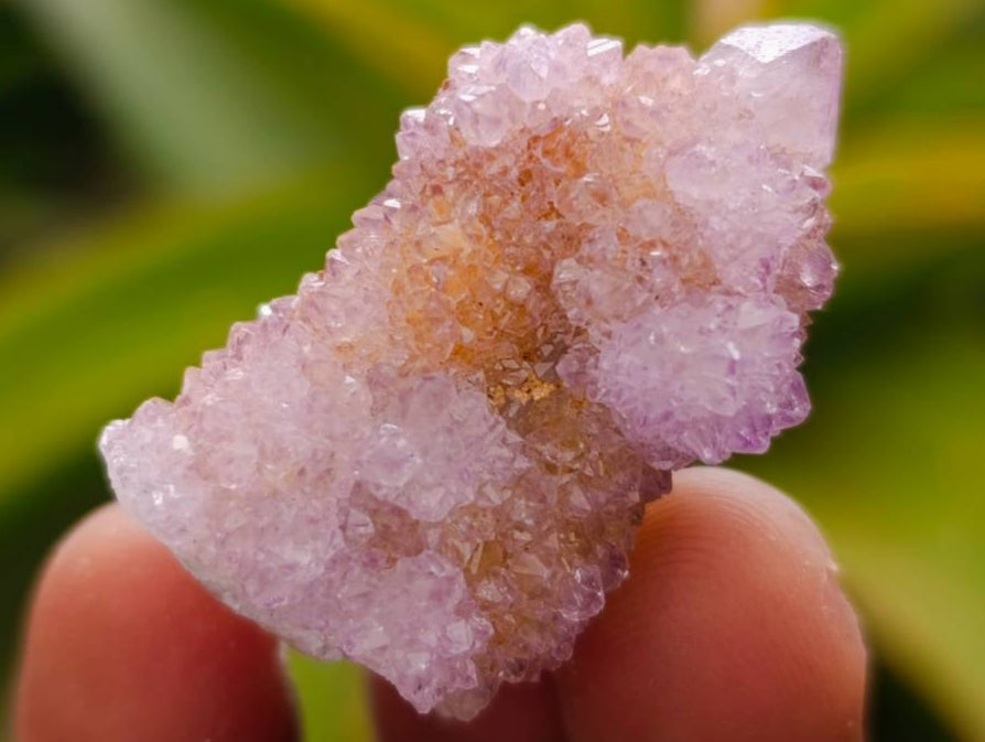 Natural Amethyst Spirit Quartz x 35 From Boekenhouthoek, South Africa