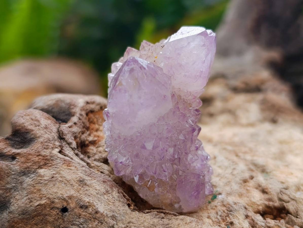 Natural Amethyst Spirit Quartz x 35 From Boekenhouthoek, South Africa