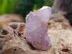 Natural Amethyst Spirit Quartz x 35 From Boekenhouthoek, South Africa