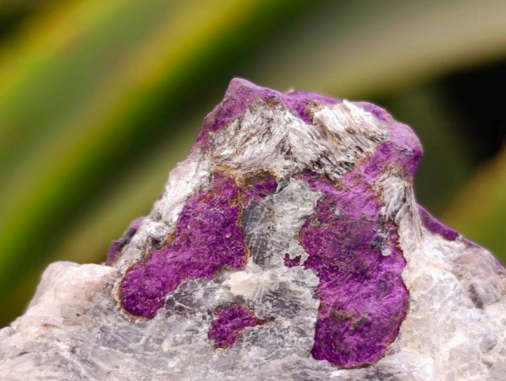 Natural Metallic Purpurite Specimens x 11 From Erongo, Namibia