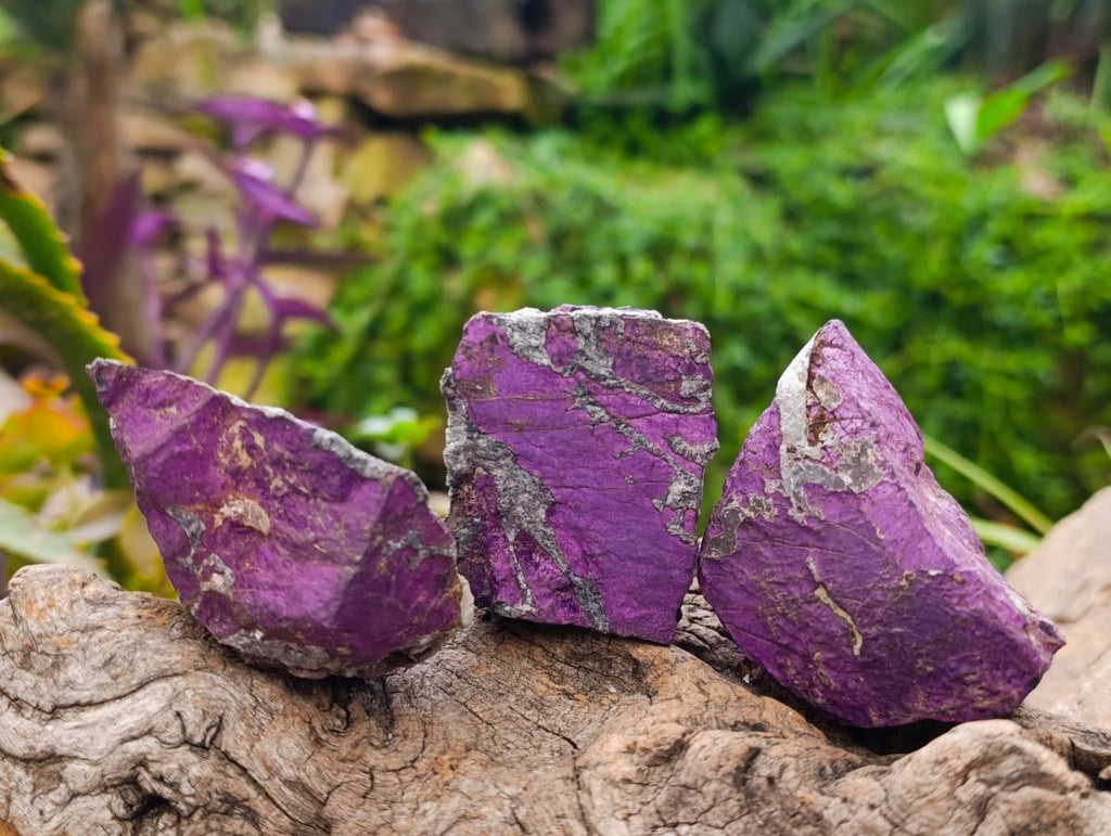Natural Metallic Purpurite Specimens x 11 From Erongo, Namibia