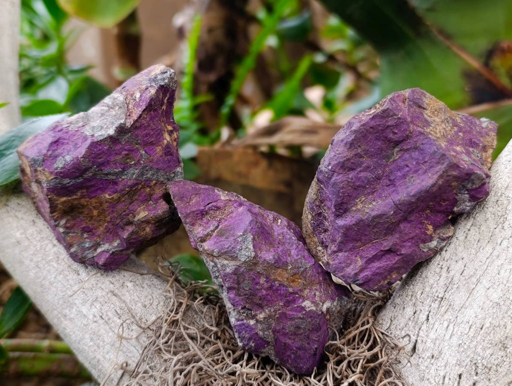 Natural Metallic Purpurite Specimens x 11 From Erongo, Namibia