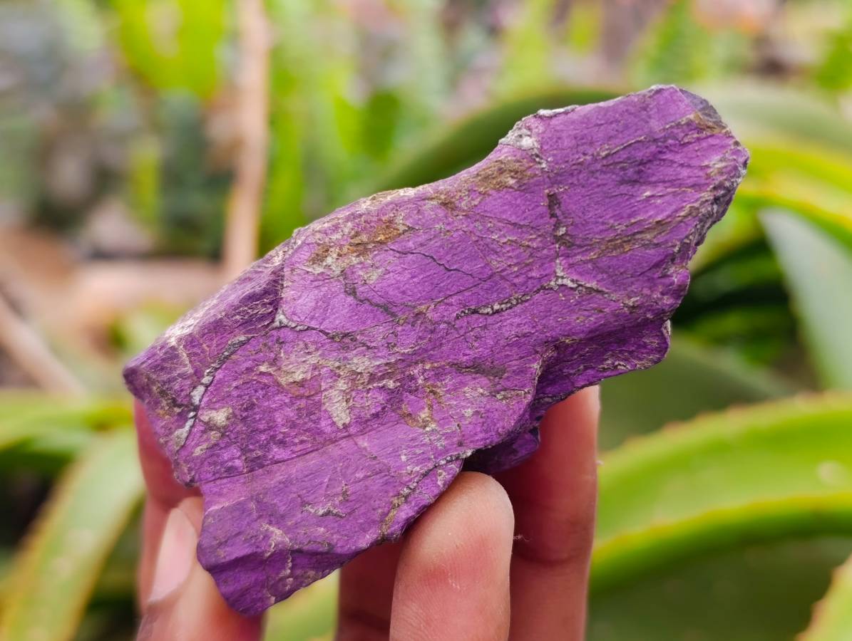 Natural Metallic Purpurite Specimens x 11 From Erongo, Namibia