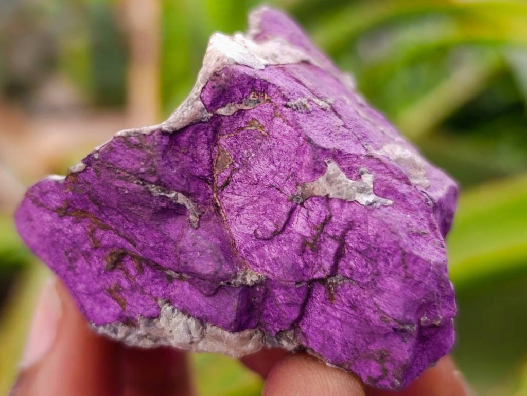 Natural Metallic Purpurite Specimens x 11 From Erongo, Namibia