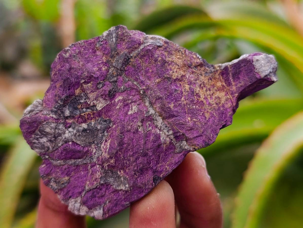 Natural Metallic Purpurite Specimens x 11 From Erongo, Namibia