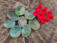 Polished Green Fluorite Palm Stones x 35 From Madagascar