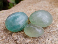 Polished Green Fluorite Palm Stones x 35 From Madagascar