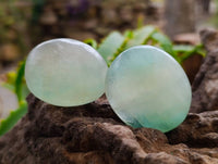 Polished Green Fluorite Palm Stones x 35 From Madagascar