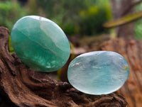 Polished Green Fluorite Palm Stones x 35 From Madagascar