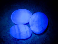 Polished Green Fluorite Palm Stones x 35 From Madagascar