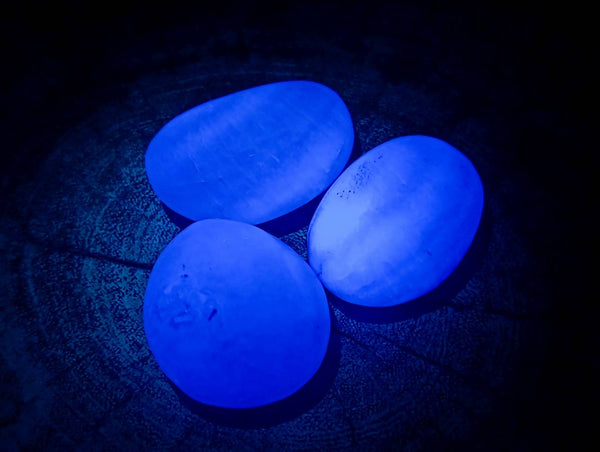 Polished Green Fluorite Palm Stones x 35 From Madagascar