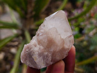 Natural Small Smokey Phantom Quartz Clusters x 12 From Luena, Congo