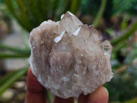Natural Small Smokey Phantom Quartz Clusters x 12 From Luena, Congo