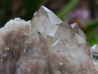 Natural Small Smokey Phantom Quartz Clusters x 12 From Luena, Congo
