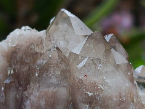 Natural Small Smokey Phantom Quartz Clusters x 12 From Luena, Congo