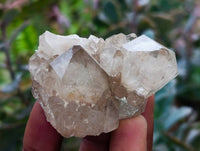 Natural Small Smokey Phantom Quartz Clusters x 12 From Luena, Congo