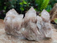 Natural Small Smokey Phantom Quartz Clusters x 12 From Luena, Congo