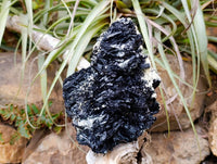 Natural Schorl Black Tourmaline with Vermiculite x 1 From Erongo, Namibia