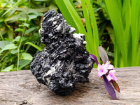 Natural Schorl Black Tourmaline with Vermiculite x 1 From Erongo, Namibia