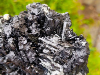 Natural Schorl Black Tourmaline with Vermiculite x 1 From Erongo, Namibia