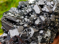 Natural Schorl Black Tourmaline with Vermiculite x 1 From Erongo, Namibia