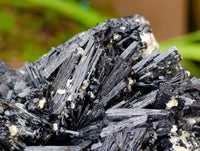 Natural Schorl Black Tourmaline with Vermiculite x 1 From Erongo, Namibia