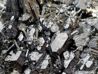 Natural Schorl Black Tourmaline with Vermiculite x 1 From Erongo, Namibia