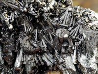 Natural Schorl Black Tourmaline with Vermiculite x 1 From Erongo, Namibia