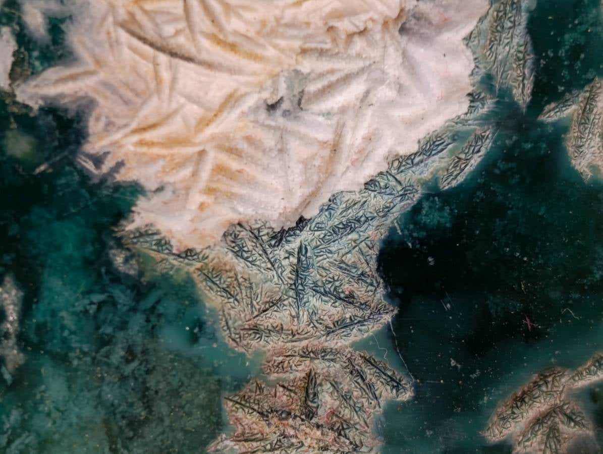 Polished On One Side Mtorolite Plates x 7 From Mutorashanga, Zimbabwe